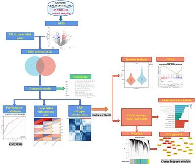 Identification of a diagnostic model and molecular subtypes of major depressive disorder based on endoplasmic reticulum stress-related genes